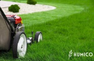 Granular Humic Acid for Lawns Benefits & Application Guide - HUMICO