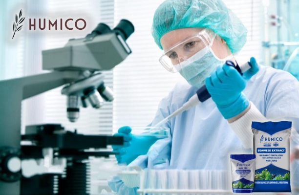 Exploring the Potential of Chitosan Oligosaccharide Uses - HUMICO - Pharmaceutical Industry