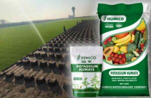 HUMICO™ El mejor fertilizante para el crecimiento saludable del césped y la hierba
