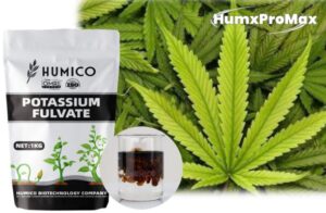 Humico - What is The Best Fertilizer for Cannabis Growth Stages